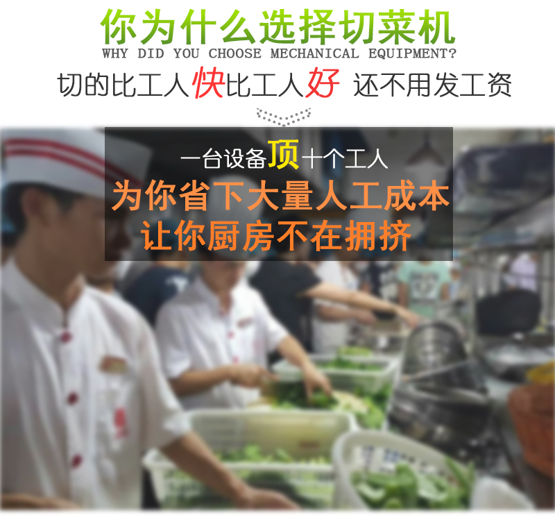 澳门全年免费原料网